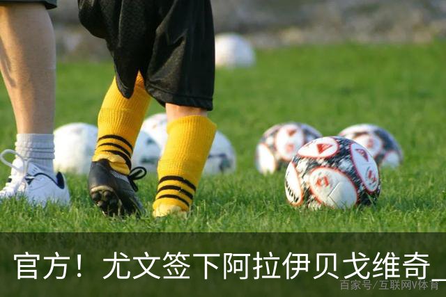 官方！尤文签下阿拉伊贝戈维奇 转会费可达3700万欧